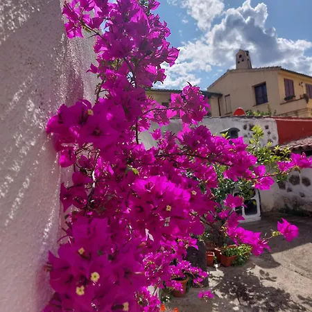 Bed & Breakfast Mes' Agustu